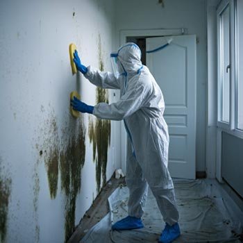 Mississippi Mold Remediation